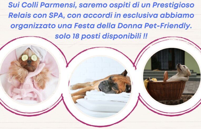 Festa della donna 2024